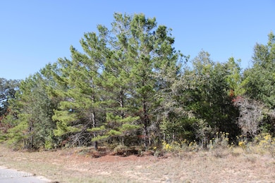 0 Overton Dr, Chipley, FL 32428 - photo 2