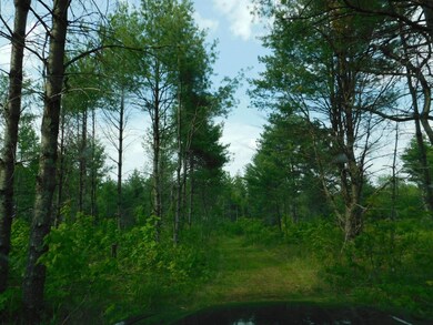 W606 Joe Johnson Rd, Suring, WI 54174 - photo 7