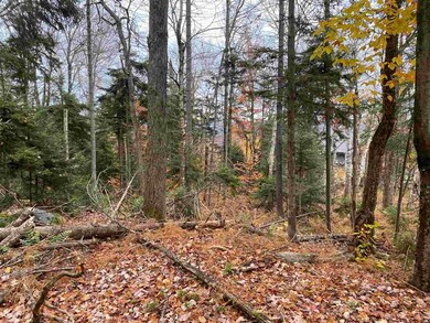 419 Shincracker unit 419 & 420, Wilmington, VT 05363 - photo 5