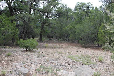 5 Manzano Loop, Five Hills, NM 87059 - photo 4