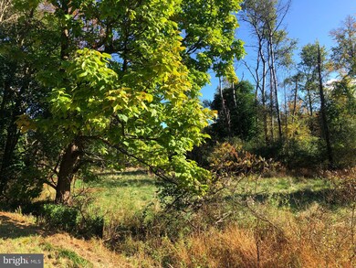 48 Mush Dahl Rd, New Ringgold, PA 17960 - photo 4