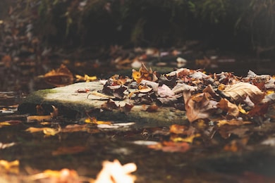 1047 Nelson Harris Rd, Evensville, TN 37332 - photo 4