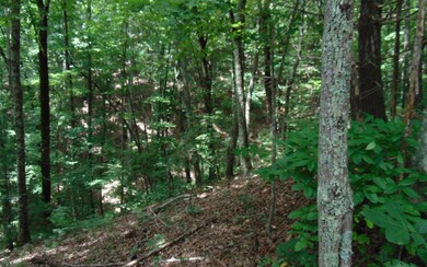 Additional View