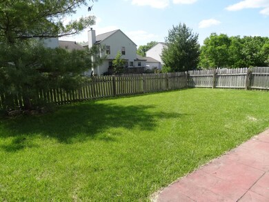back yard 1