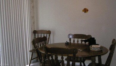 237 S Elm St, Jefferson, OH 44047 - photo 6