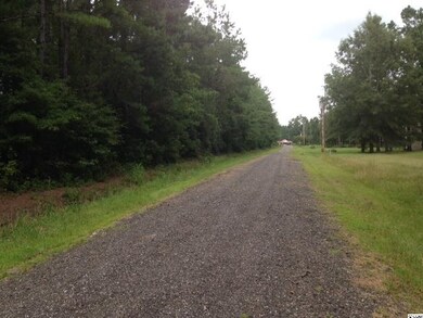 Lot 10 Pampass Ln unit Pampass Lane, Conway, SC 29527 - photo 4