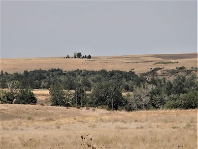 Cayuse Rd, Pendleton, OR 97801 - photo 4