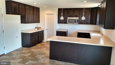 213 William Ross Ln, Seaford, DE 19973 - photo 4