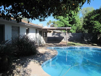 567 W Los Lagos Vista Ave, Mesa, AZ 85210 - photo 3