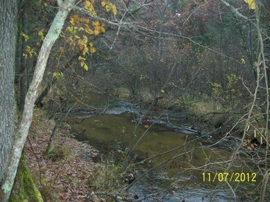 52 Osage, Baldwin, MI 49304 - photo 3