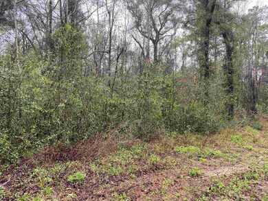 0 Donaldson Williams Rd unit 342586, Crawfordville, FL 32327 - photo 2