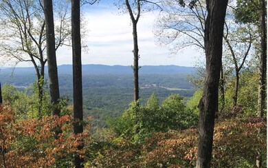 1368 Mountain Oak Rd, Ellijay, GA 30536 - photo 3