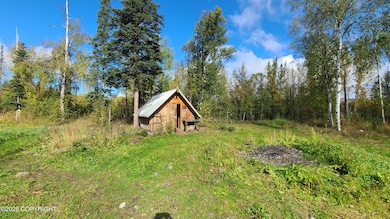 2955 N Tamar Cir, Wasilla, AK 99654 - photo 6