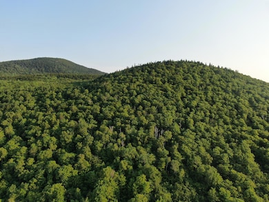 M8L4 Mountain Rd, Mount Chase, ME 04765 - photo 2