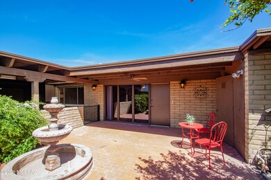 Back patio/yard