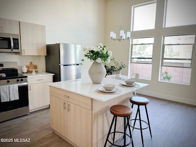 544 E Limberlost Dr unit 1101, Tucson, AZ 85705 - photo 7