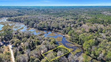 Lot 8 Hudson Creek Ct, Darien, GA 31305 - photo 3