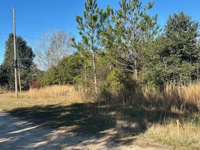 NHN Werner Rd, Picayune, MS 39466 - photo 6
