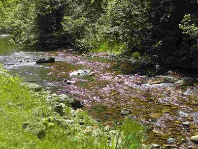 1392 Route 26, Colebrook, NH 03597 - photo 3