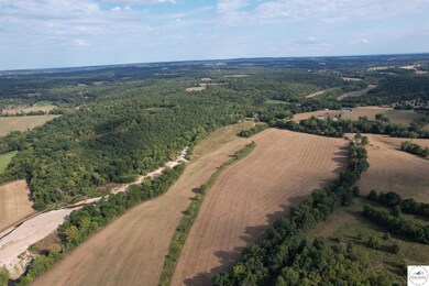 442 Tavern Creek Rd, Iberia, MO 65486 - photo 5