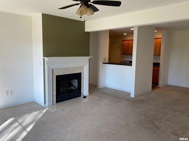 4537 N Thornhill Dr unit 101, Peoria, IL 61615 - photo 6