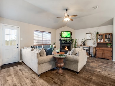 316 Tarpan Trail, Celina, TX 75009 - photo 3