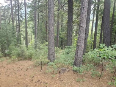 00 Timber Dr, Dunsmuir, CA 96025 - photo 6