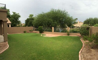 backyard2