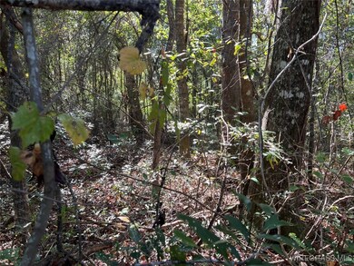 Lot 11 1/2 Lot 12 Berman St, Andalusia, AL 36421 - photo 5