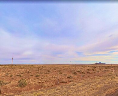 3971 Del Contento, Snowflake, AZ 85937 - photo 5