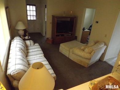 23409 96th Ave N, Port Byron, IL 61275 - photo 3