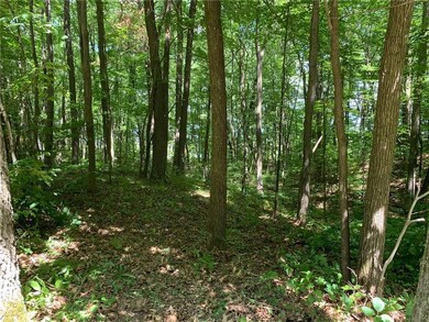 0000 Olsen Rd, Lincoln, WI 54893 - photo 3