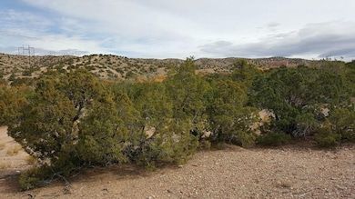 0 Tres Amigos Rd unit 1066661, Placitas, NM 87043 - photo 4