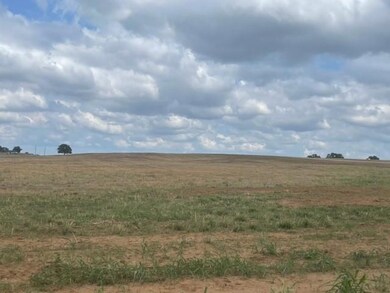 4 County Road 4371, Decatur, TX 76324 - photo 6