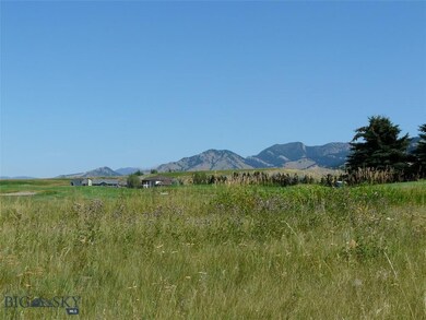 View from homesite