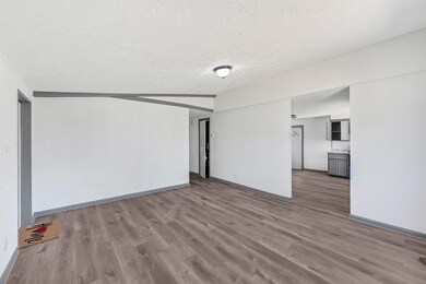 Living room facing the kitchen and hall leading to the rooms.