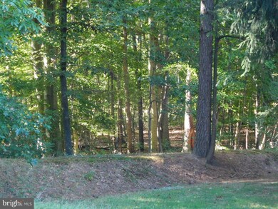 900 Spaniard Neck Rd, Centreville, MD 21617 - photo 4