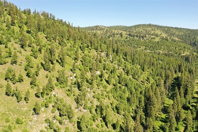 6 Tract Garnet Range, Clinton, MT 59825 - photo 5