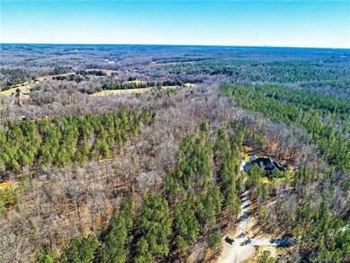 000 Vesuvius Furnace Rd, Iron Station, NC 28080 - photo 6