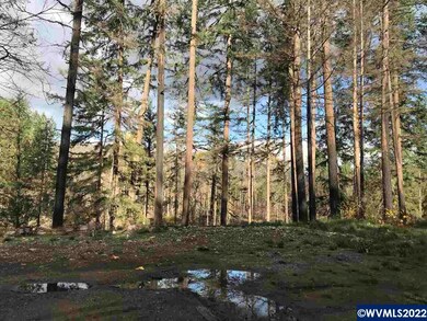 23655 Santiam Way SE, Lyons, OR 97358 - photo 7