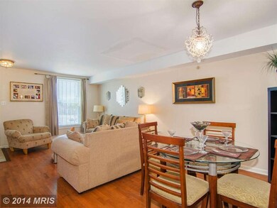 1131 Willinger Ct, Baltimore, MD 21202 - photo 5