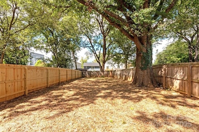 1119 N Myers St, Charlotte, NC 28206 - photo 6