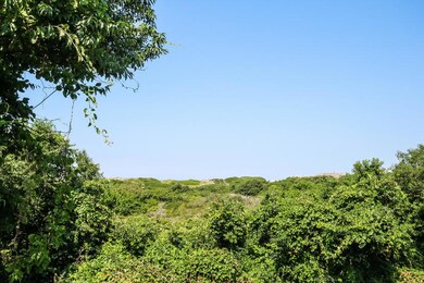 bay6