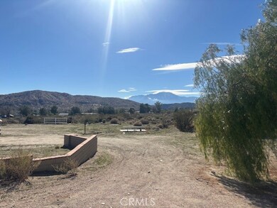 49618 Buena Vista Dr, Morongo Valley, CA 92256 - photo 4