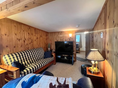 5006 Lake Point St, Harrison, MI 48625 - photo 5