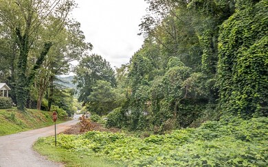 9 Logan Ln, Ellijay, GA 30540 - photo 4