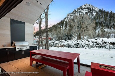 630 W Hopkins Ave, Aspen, CO 81611 - photo 5