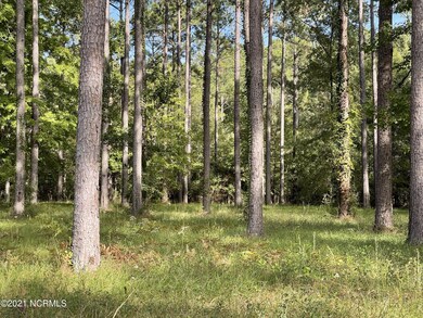 image_16901889