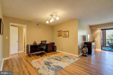 5901 Mount Eagle Dr unit 717, Alexandria, VA 22303 - photo 4