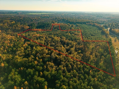 0 24 S unit 549085, Waynesboro, GA 30830 - photo 4